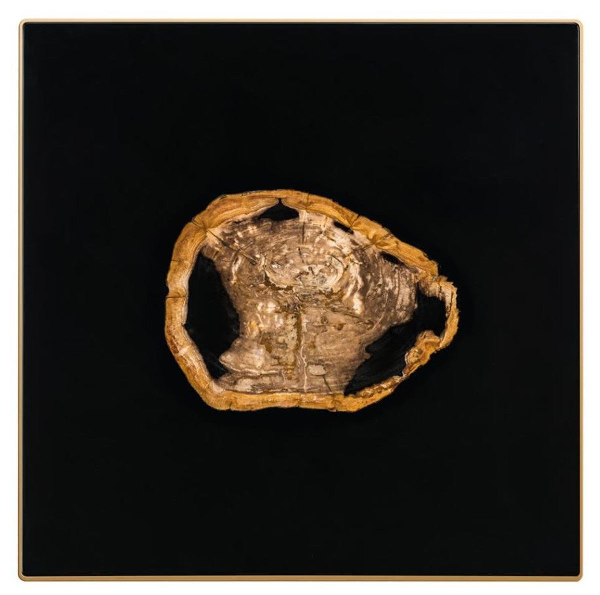 Designer Couchtisch mit eingearbeitetem versteinertem Holz - Limited Edition